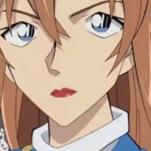 PlainDonor1960의 憧れの人