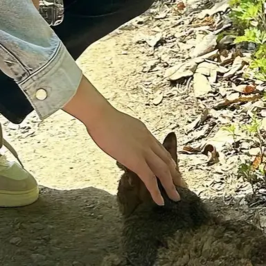 Profile image of 박건욱