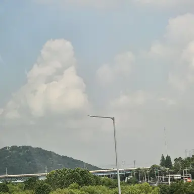 Profile image of 멜로우