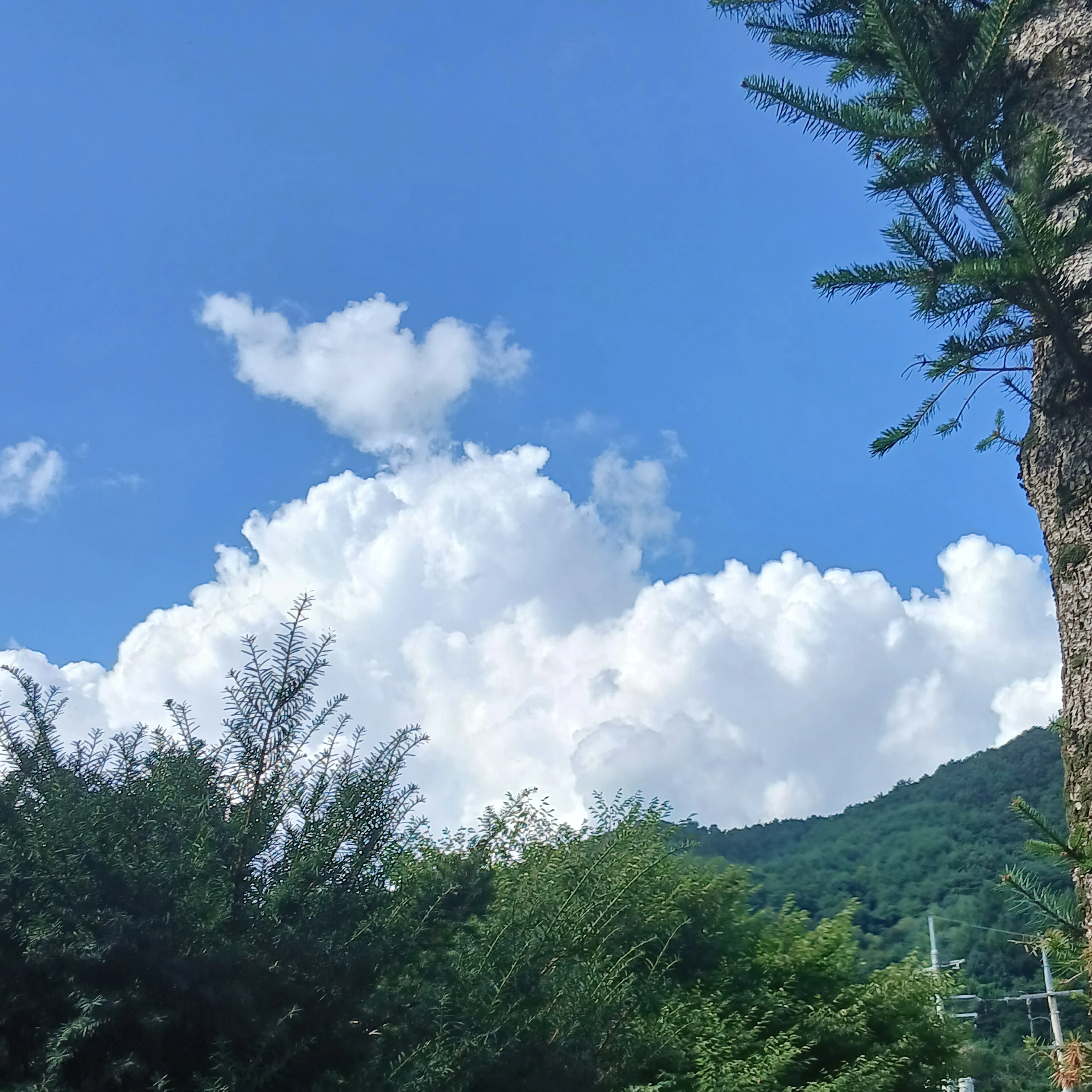 리레볼루션