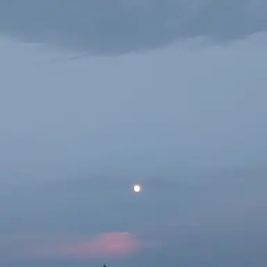 Profile image of 강 리운