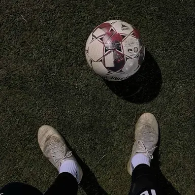 Profile image of Miguel