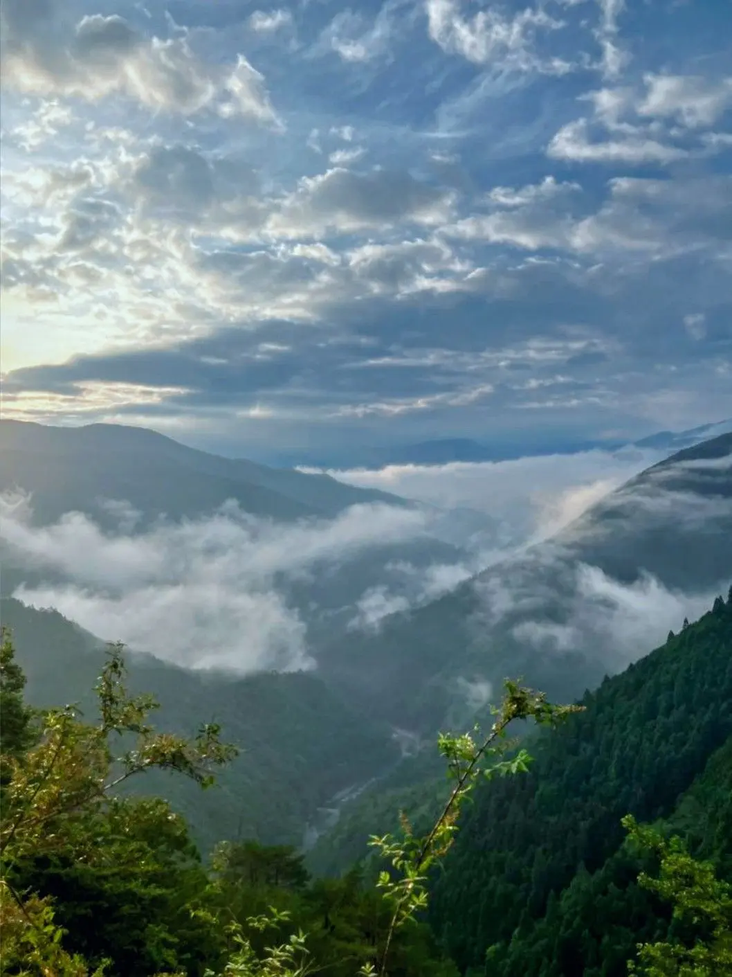 FlakyMint3382의 無事でよかったです　.