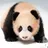 루이바오🐼🐼
