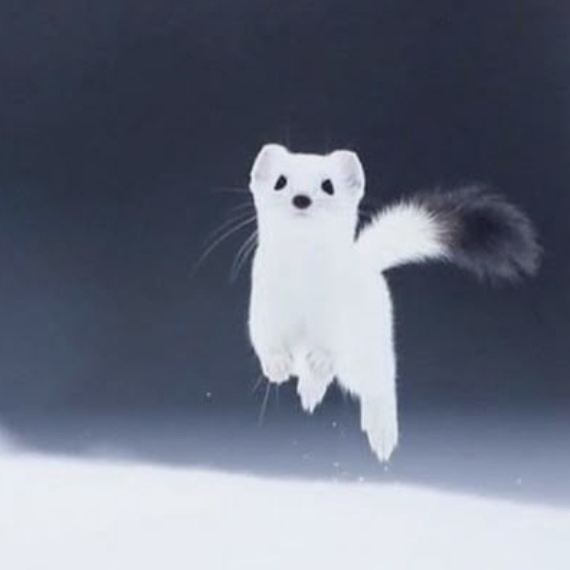 황현진 대표 이미지