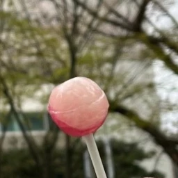 제작자