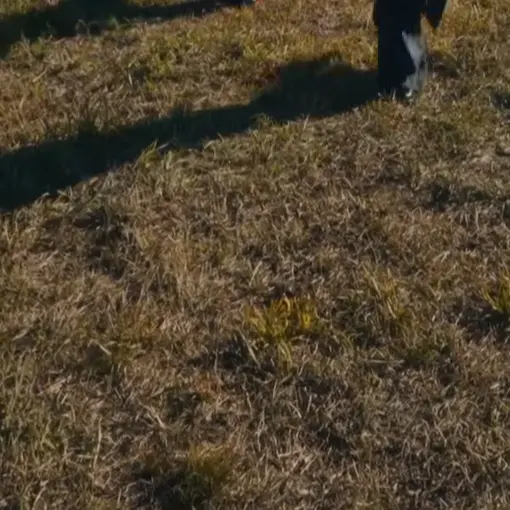 FarDust2007의 自分用