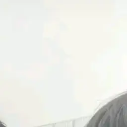 Profile image of たいき