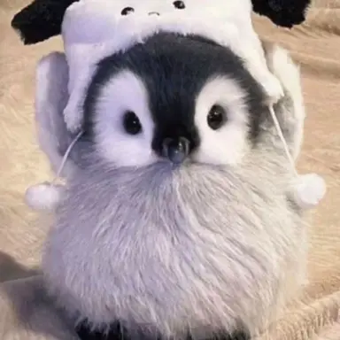 Profile image of 오비스트