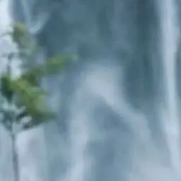 Profile image of 자유롭게