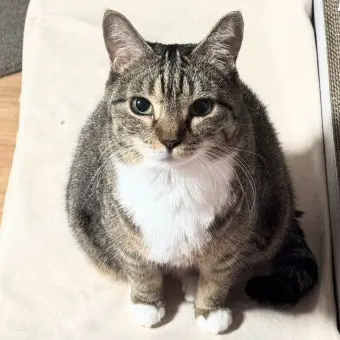 Profile image of 박춘봉