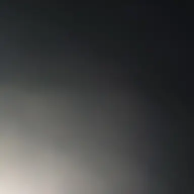 Profile image of 송하빈