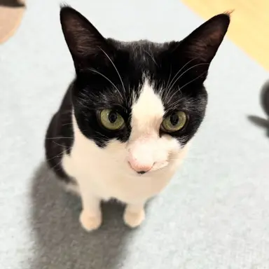 Profile image of 김첨지