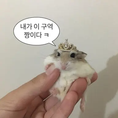 Profile image of 여우