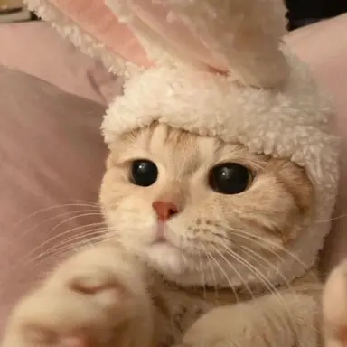 Profile image of 별이