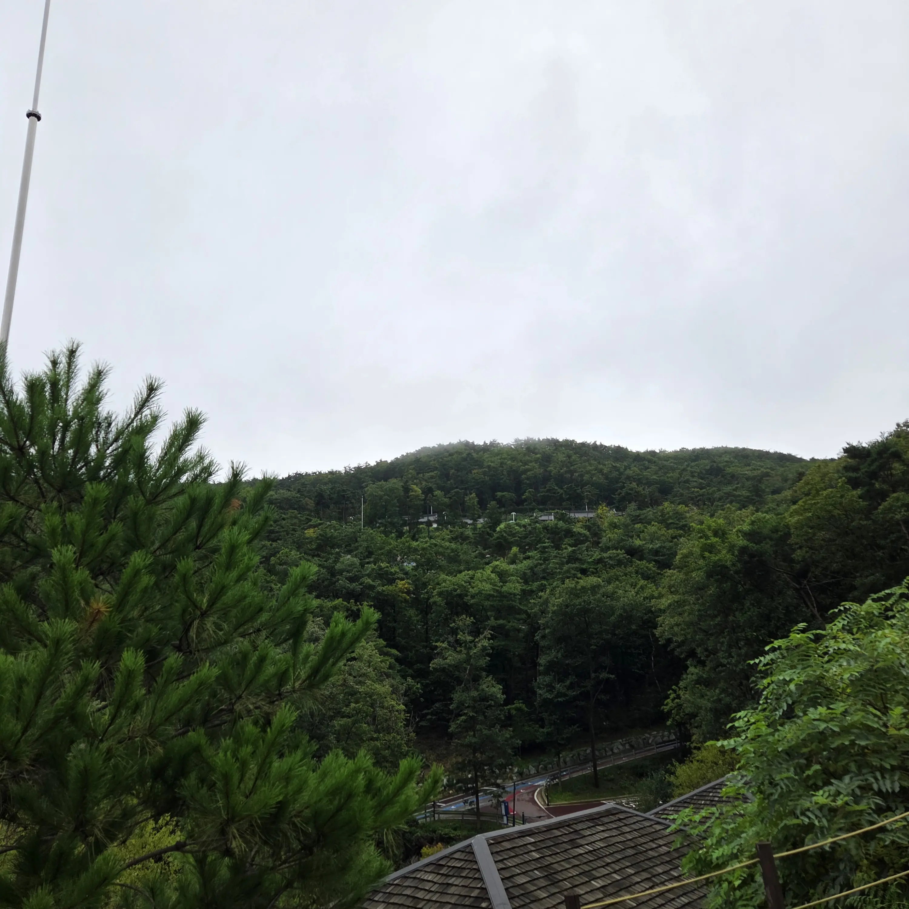 SilentChili9306의 우주 소환술