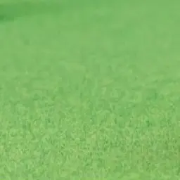 Profile image of カゲツ