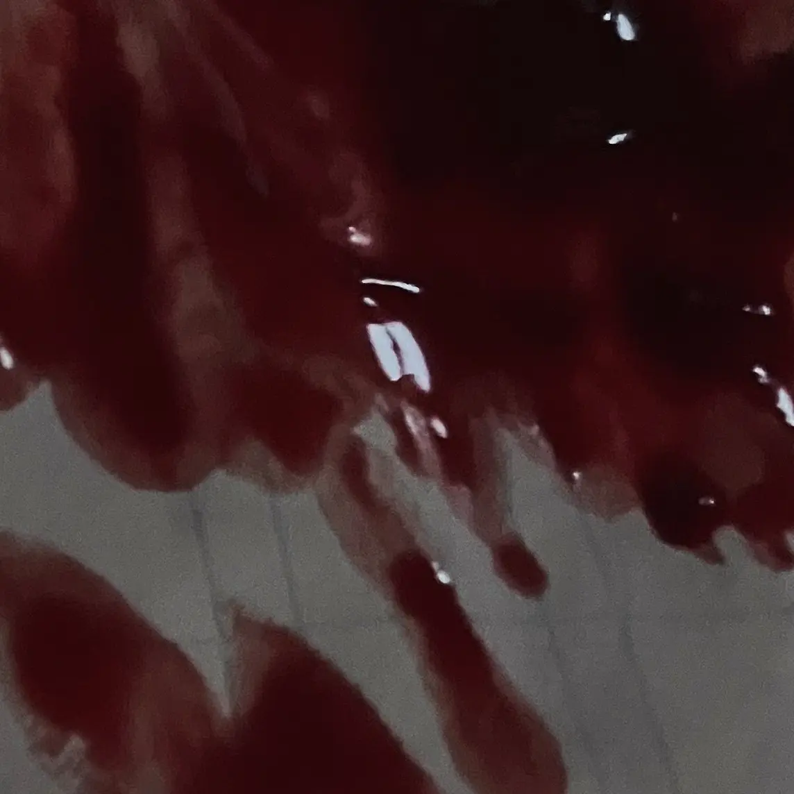 CrispQuill1765의 迷惑かけてごめんね