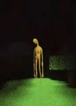 Profile image of ベリティ