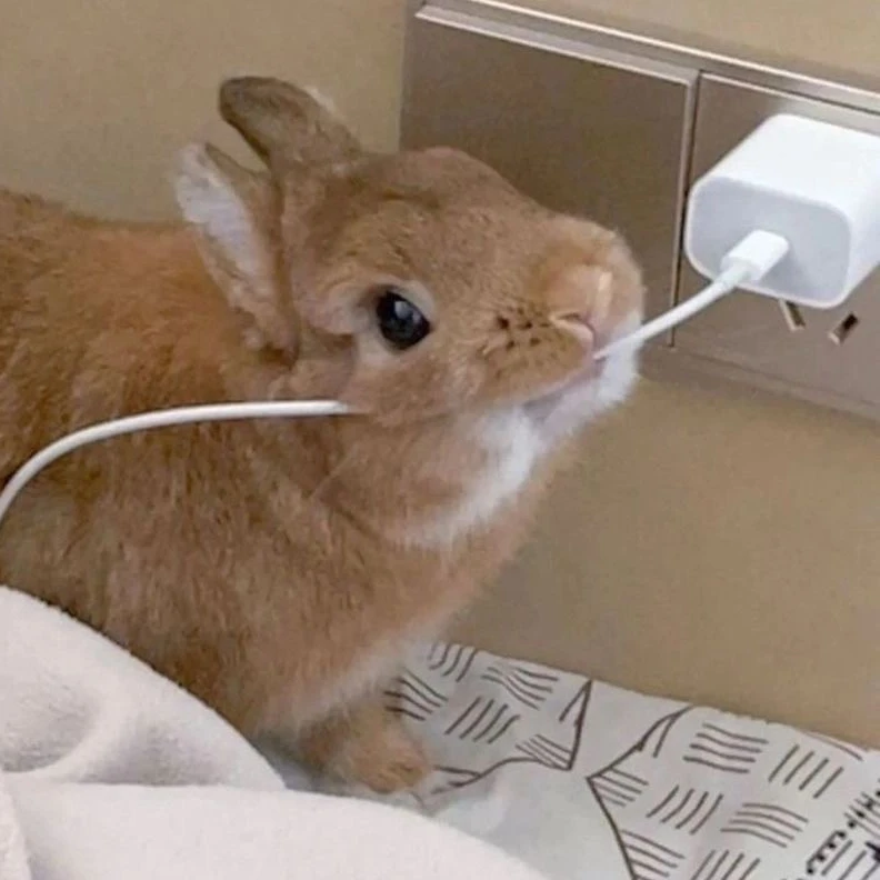 한유진