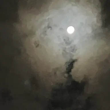 Profile image of Suguru