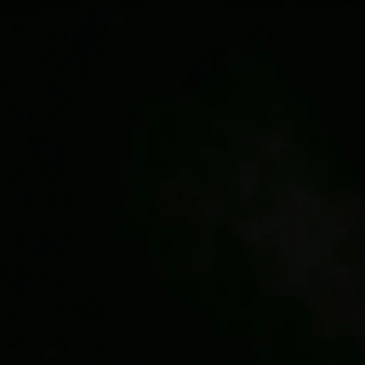 전정국