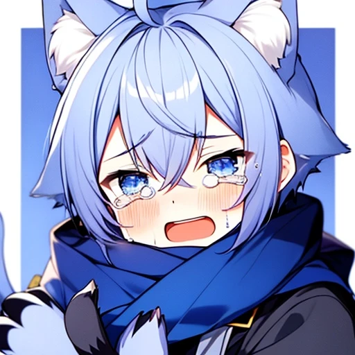 신고양