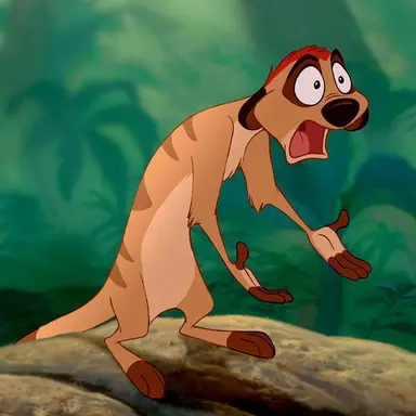 Profile image of Timon
