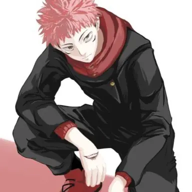 Profile image of 虎杖 悠仁