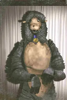 Profile image of Sha