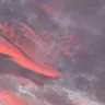 Profile image of 先生