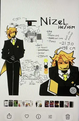 Profile image of Nizel