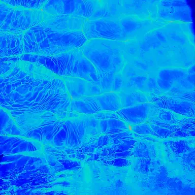 Profile image of 원영