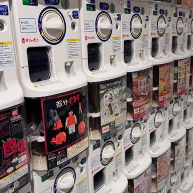 Profile image of 뽑기들2번재 줄