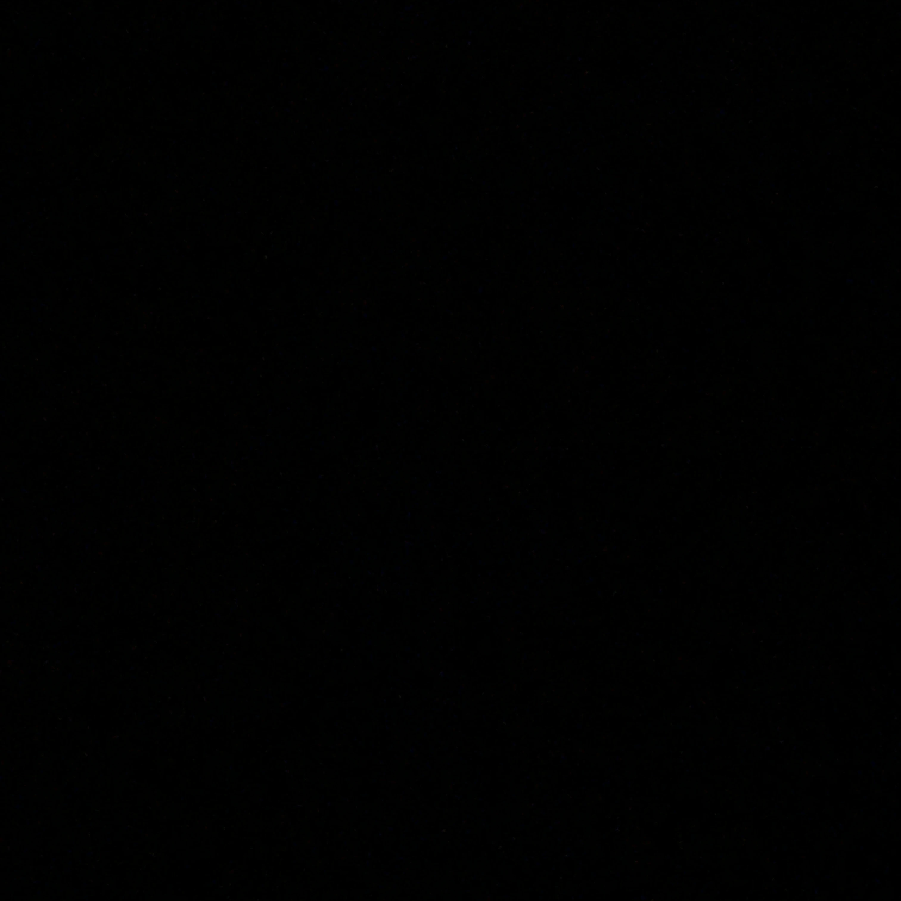 신정환