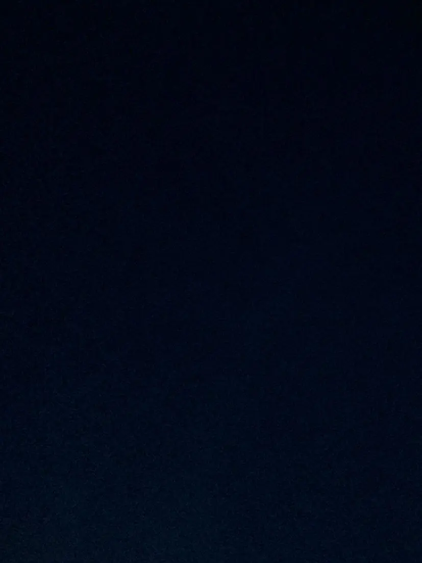 Inwae의 공주와 야만인