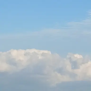 Profile image of 싸이클