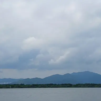 Profile image of 텔러