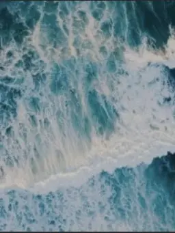 PPPsh4의 그날도 해변에서