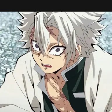 Profile image of 시나즈가와 사네미