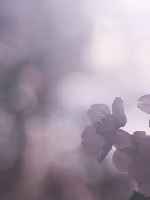 PPBaRa77의 ニシコリ病院