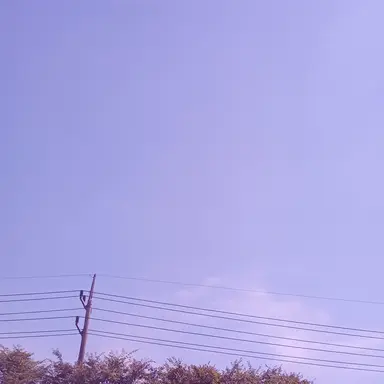 Profile image of 리레볼루션