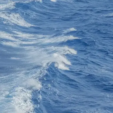 Profile image of 도소빈