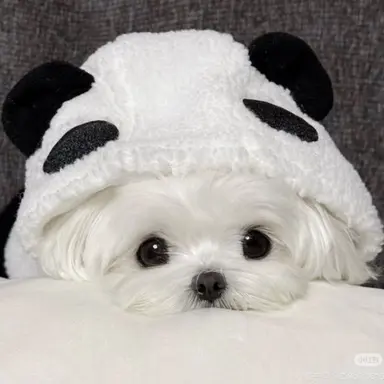 Profile image of 밀크