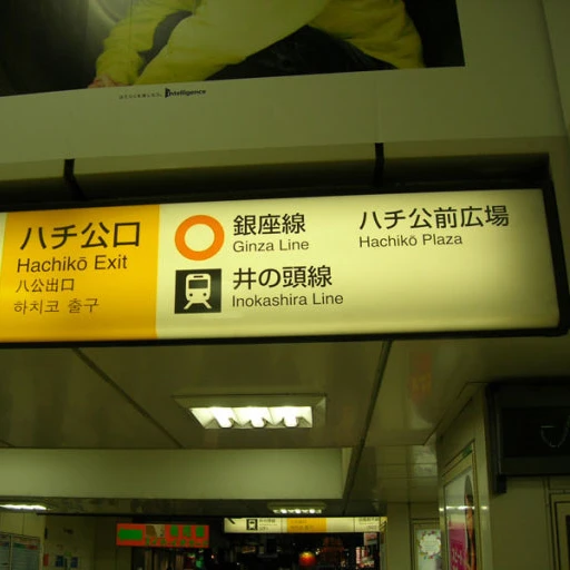 사이키 쿠스오