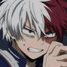 Profile image of Shoto Todoroki