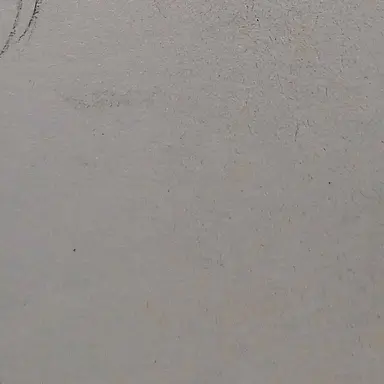 Profile image of 전정윤