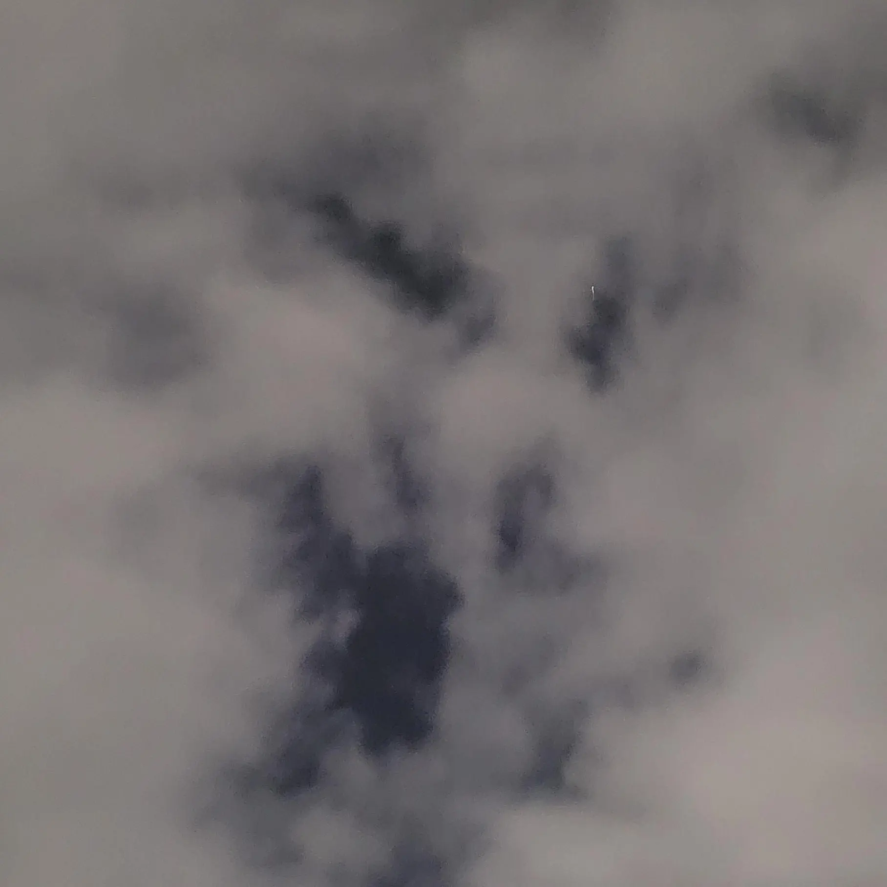 LavishDial7520의 (⁠ノ⁠^⁠_⁠^⁠)⁠ノ