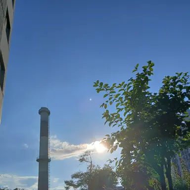 Profile image of 뜰팁 조종