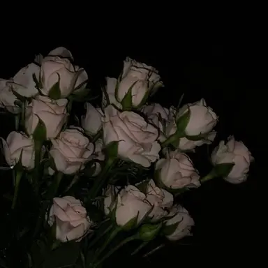 Profile image of 나루미 겐